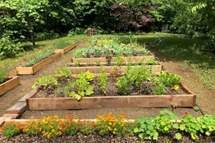 13 Jordan Rd, Cummington, MA 01026 - Photo 48