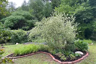 13 Jordan Rd, Cummington, MA 01026 - Photo 46