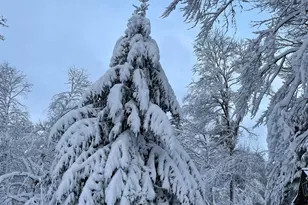 13 Jordan Rd, Cummington, MA 01026 - Photo 38