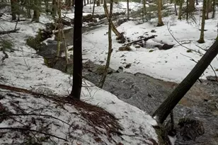 159 Simmons Rd, Washington, MA 01223 - Photo 4