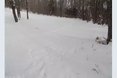 159 Simmons Rd, Washington, MA 01223 - Photo 10