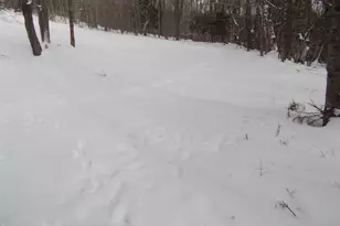 159 Simmons Rd, Washington, MA 01223 - Photo 10