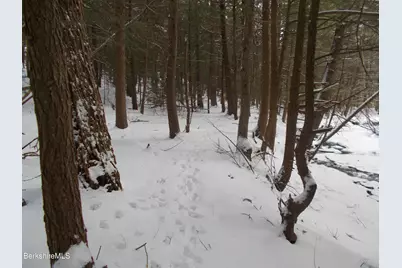 159 Simmons Rd, Washington, MA 01223 - Photo 6