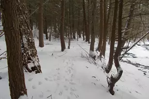 159 Simmons Rd, Washington, MA 01223 - Photo 6