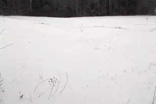 159 Simmons Rd, Washington, MA 01223 - Photo 8