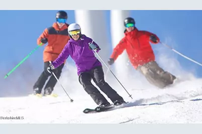 37 Corey Rd #842, Hancock, MA 01237 - Photo 34