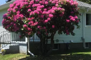 162 Bull Hill Rd, Lanesborough, MA 01237 - Photo 2