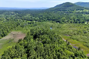 173 Hillsdale Rd, Egremont, MA 01258 - Photo 12