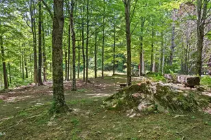 173 Hillsdale Rd, Egremont, MA 01258 - Photo 18