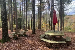 173 Hillsdale Rd, Egremont, MA 01258 - Photo 16