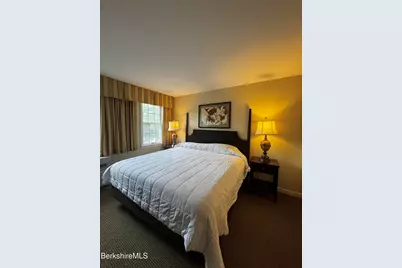 37 Corey Rd #716, Hancock, MA 01237 - Photo 6