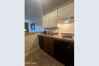 37 Corey Rd #532, Hancock, MA 01237 - Photo 4