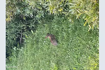 14 Blotz Rd, Washington, MA 01223 - Photo 20