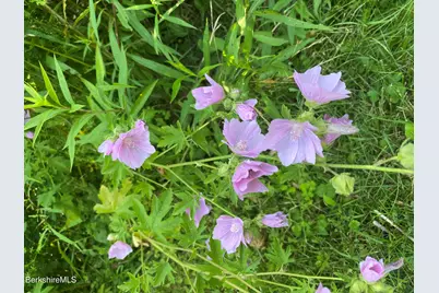 14 Blotz Rd, Washington, MA 01223 - Photo 28