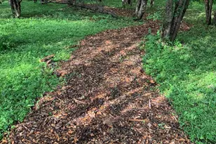 1200 West St, Pittsfield, MA 01201 - Photo 70