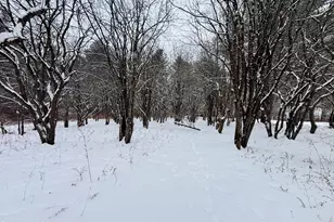 1200 West St, Pittsfield, MA 01201 - Photo 74