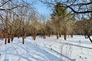 1200 West St, Pittsfield, MA 01201 - Photo 72