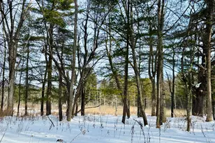 1200 West St, Pittsfield, MA 01201 - Photo 76