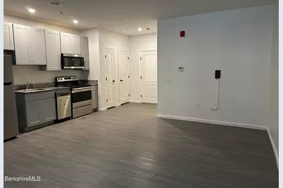 235 East St #026, Pittsfield, MA 01201 - Photo 4