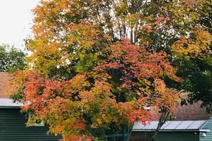 33 S Main Rd, Otis, MA 01253 - Photo 2