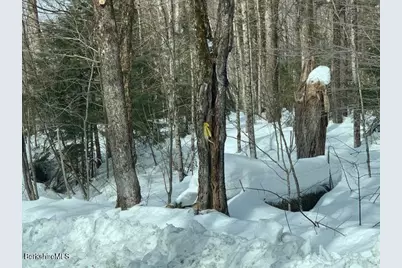 87 North Rd, Monroe, MA 01350 - Photo 2