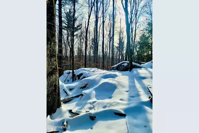 Lot 2 Leland Rd, Becket, MA 01223 - Photo 22