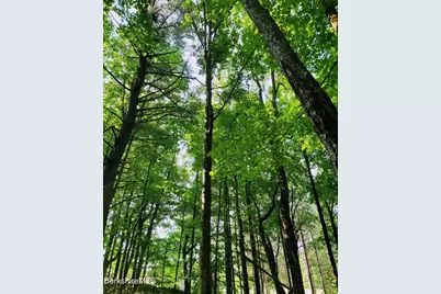 Lot 2B Leland Rd, Becket, MA 01223 - Photo 6