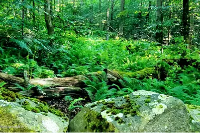 Lot 2B Leland Rd, Becket, MA 01223 - Photo 2