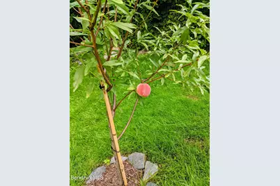 8 Frederick Ln, Adams, MA 01220 - Photo 20