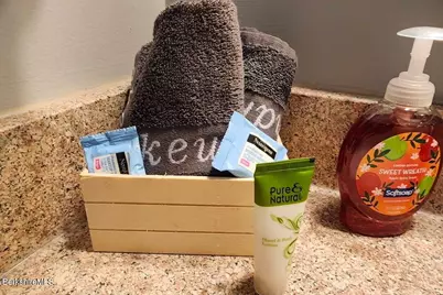 37 Corey Rd #521, Hancock, MA 01237 - Photo 8