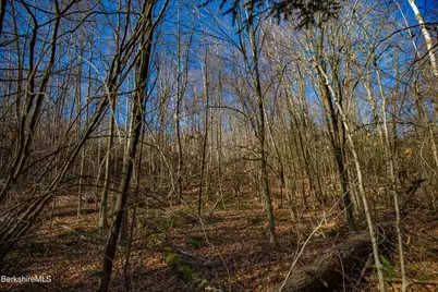 0 Goose Pond Rd, Tyringham, MA 01264 - Photo 14