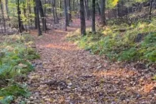 581 Red Barn Rd, Dalton, MA 01226 - Photo 64