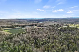 141 Griffin Hill Rd, Savoy, MA 01256 - Photo 52