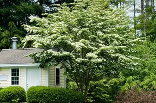 130 E Dugway Rd, Lenox, MA 01240 - Photo 70