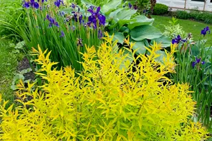 130 E Dugway Rd, Lenox, MA 01240 - Photo 58