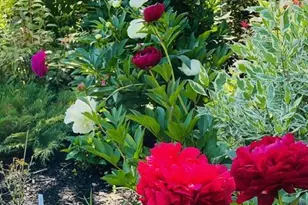 130 E Dugway Rd, Lenox, MA 01240 - Photo 64