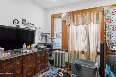 195 Francis Ave, Pittsfield, MA 01201 - Photo 32
