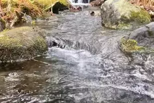 276 Great Barrington Rd, West Stockbridge, MA 01266 - Photo 72