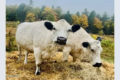 276 Great Barrington Rd, West Stockbridge, MA 01266 - Photo 54