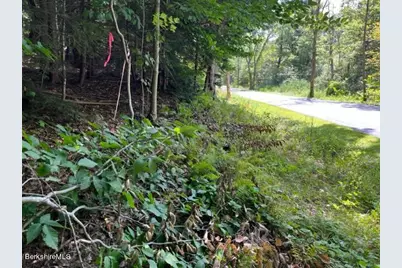 0 Goose Pond Rd, Tyringham, MA 01264 - Photo 8
