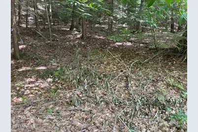 0 Goose Pond Rd, Tyringham, MA 01264 - Photo 2