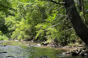 92 Hancock Rd, Williamstown, MA 01267 - Photo 30