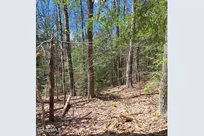 0 Clubhouse Dr, Otis, MA 01253 - Photo 1