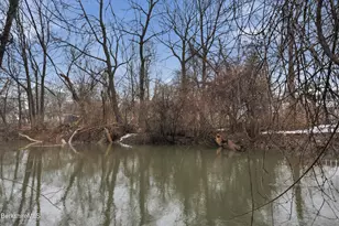 153 Dewey Ave, Pittsfield, MA 01201 - Photo 18