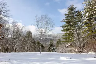 14 Old Tree Farm Rd, Stockbridge, MA 01262 - Photo 66