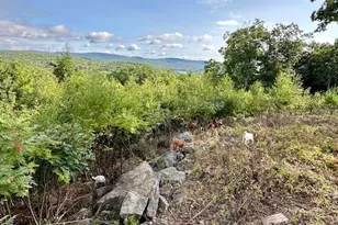 26A Stonebridge Way, Tyringham, MA 01264 - Photo 40