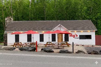 264 Hillsdale Rd, Egremont, MA 01258 - Photo 2