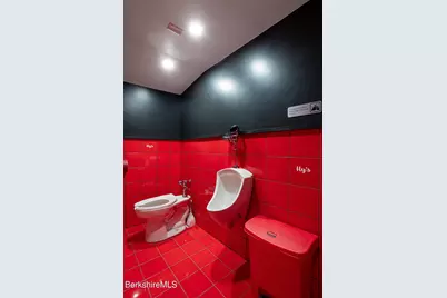 264 Hillsdale Rd, Egremont, MA 01258 - Photo 28