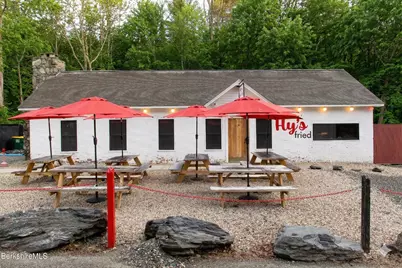 264 Hillsdale Rd, Egremont, MA 01258 - Photo 2