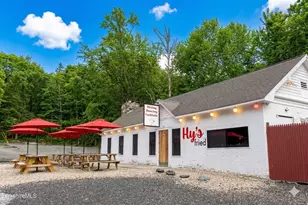 264 Hillsdale Rd, Egremont, MA 01258 - Photo 1